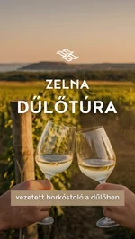 Klasszikus dűlőtúra jegy 