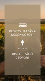 Zelna - Klasszikus dűlőtúra jegy