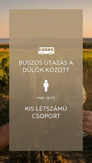 Zelna - Klasszikus dűlőtúra jegy