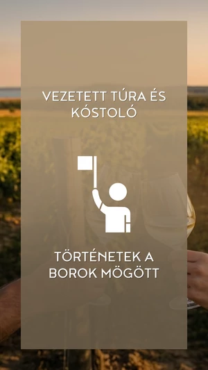 Zelna - Klasszikus dűlőtúra jegy