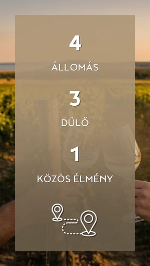 Zelna - Klasszikus dűlőtúra jegy