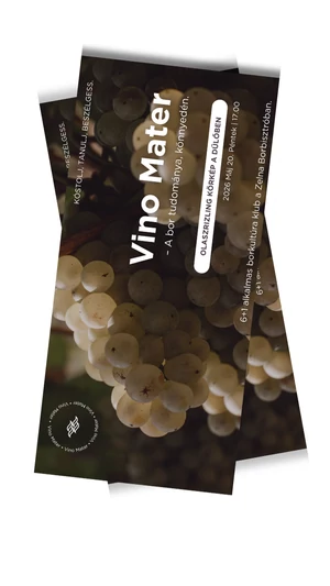Vino Mater borkultúra klub- Olaszrizling körkép a dűlőben - Május 29.